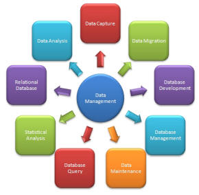 Data Management